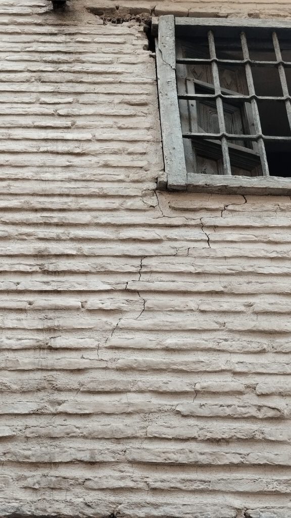 Detalle de grietas y pérdida de infraestructura en la fachada del Palacio de los Vargas.